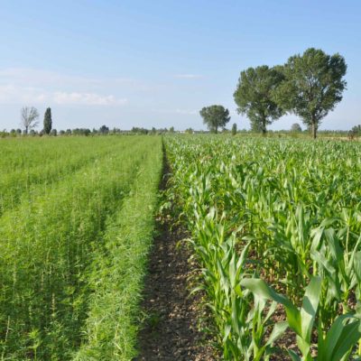 villa-giulia-azienda-agricola-panorama_cover villa-giulia-azienda-agricola-panorama_cover