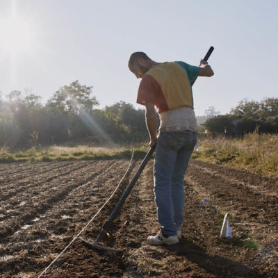 Azienda Agricola Bio Marchesana Pesaro Fano Marche